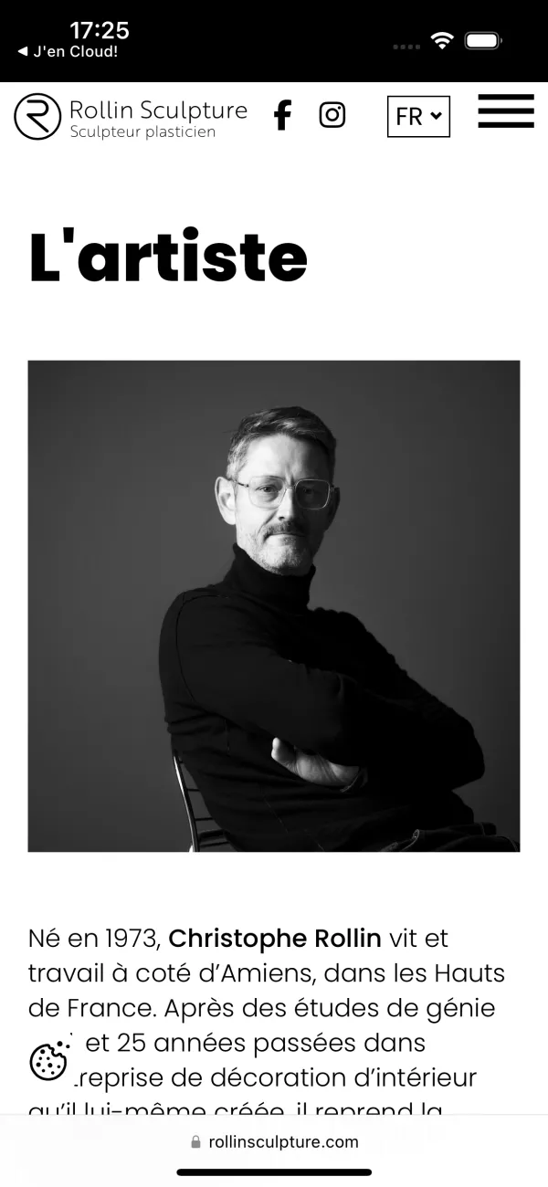 Site Internet Rollin Sculpture