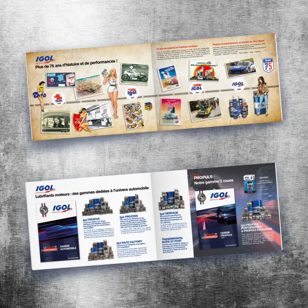 Brochure Igol Corporate