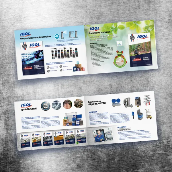 Brochure Igol Corporate