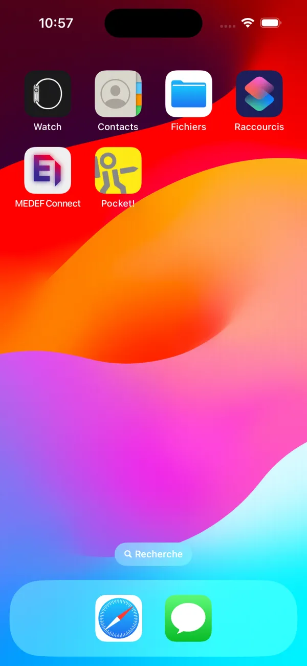 Application Mobile Pocket! (Groupe Lhotellier)